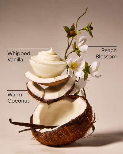 Vanilla Coconut
3-Wick Candle
