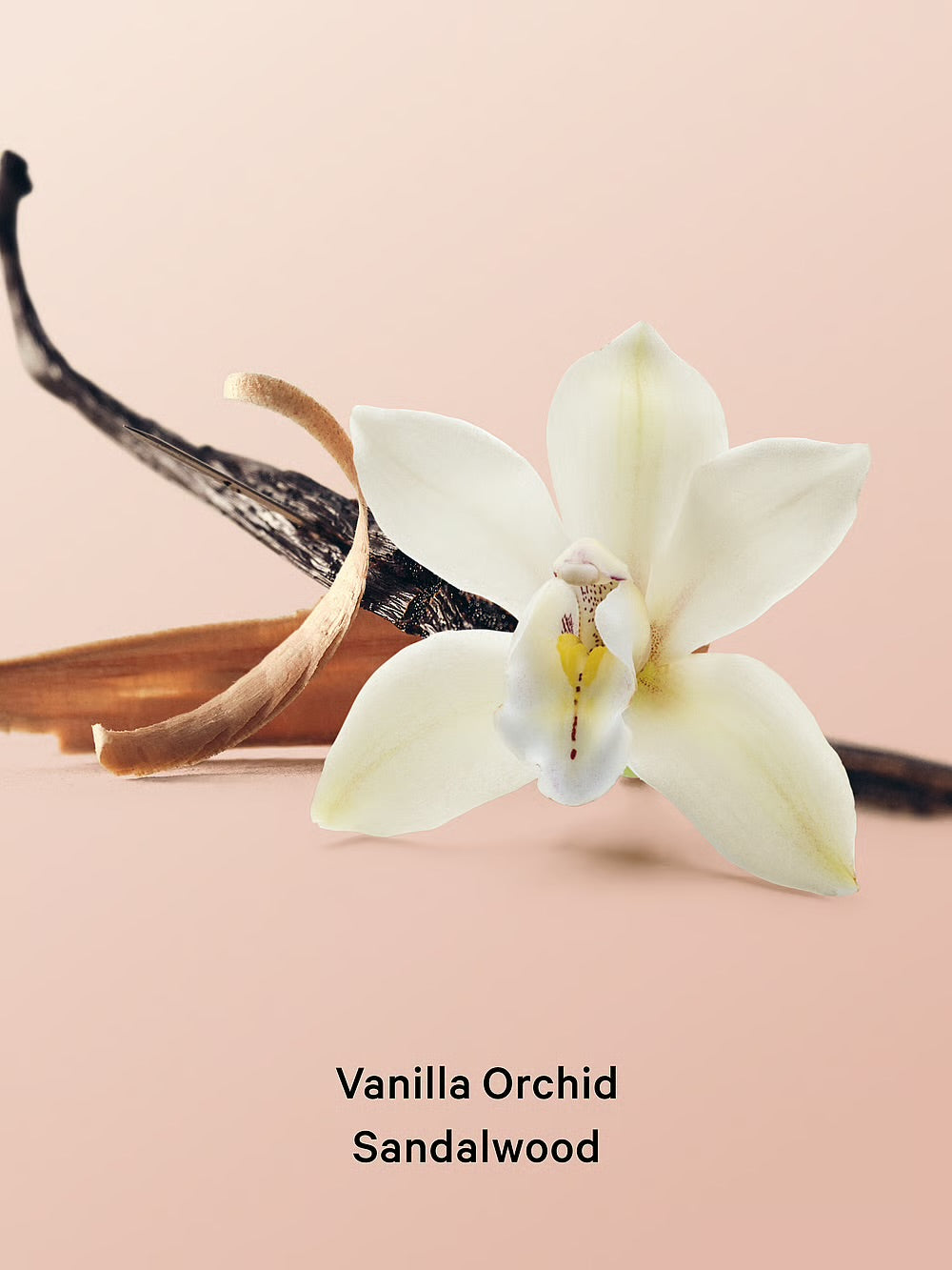 Vanilla Orchid Sandalwood Hydrating Body Lotion