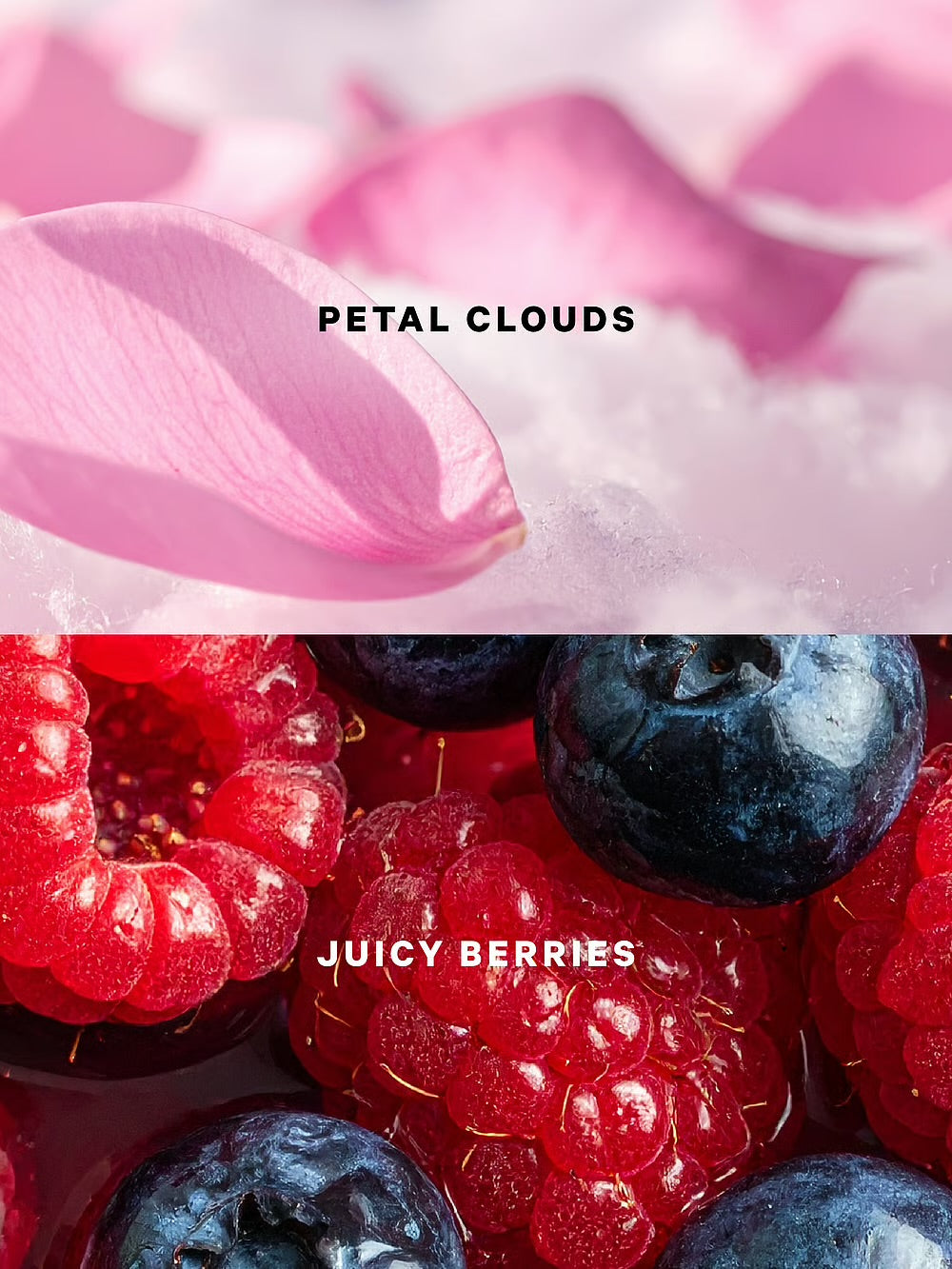 Glazed Petals & Berries Fragrance Lotion