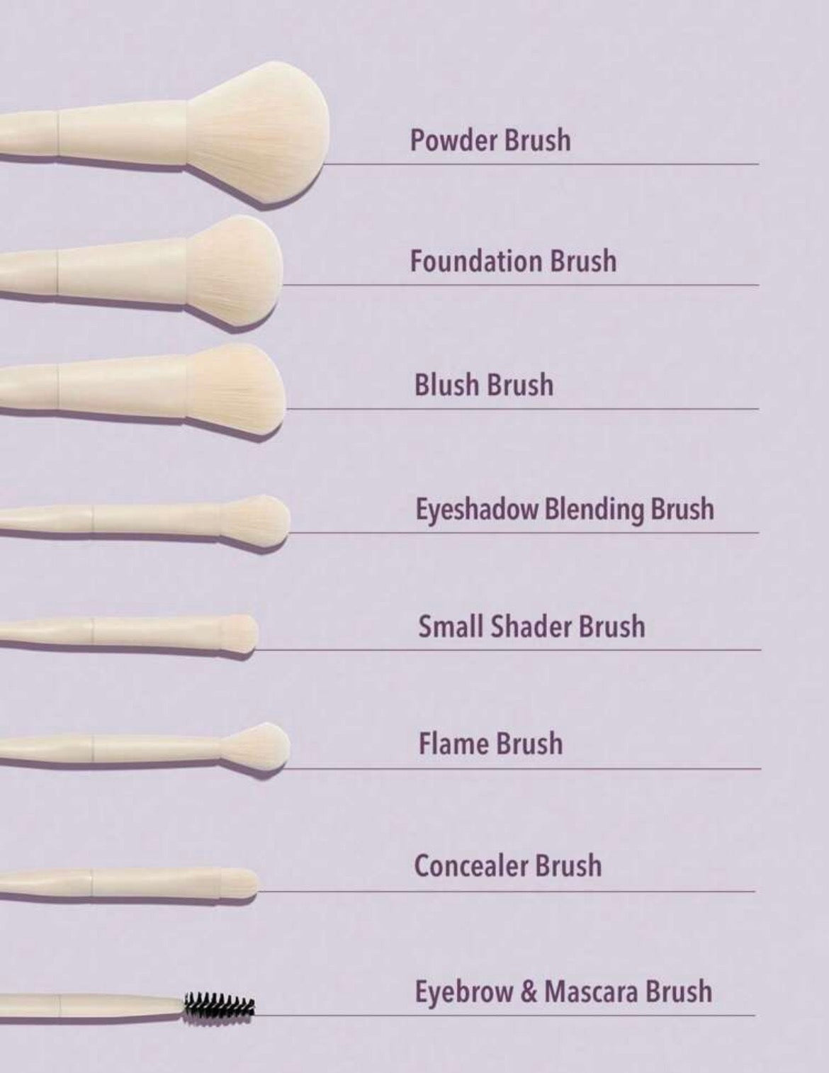 Sheglam kit de brochas pro core de 8 piezas