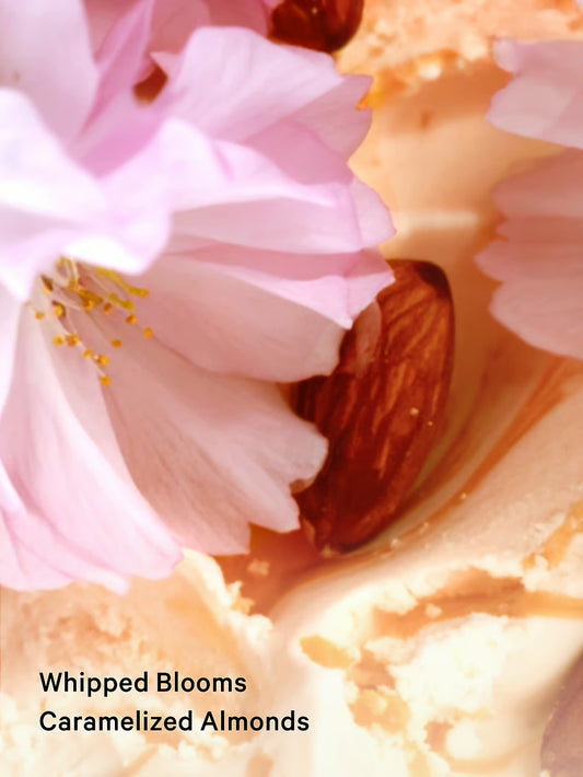 Velvet Petals Brulee Fragrance Lotion