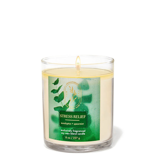 Eucalyptus Spearmint Single Wick Candle